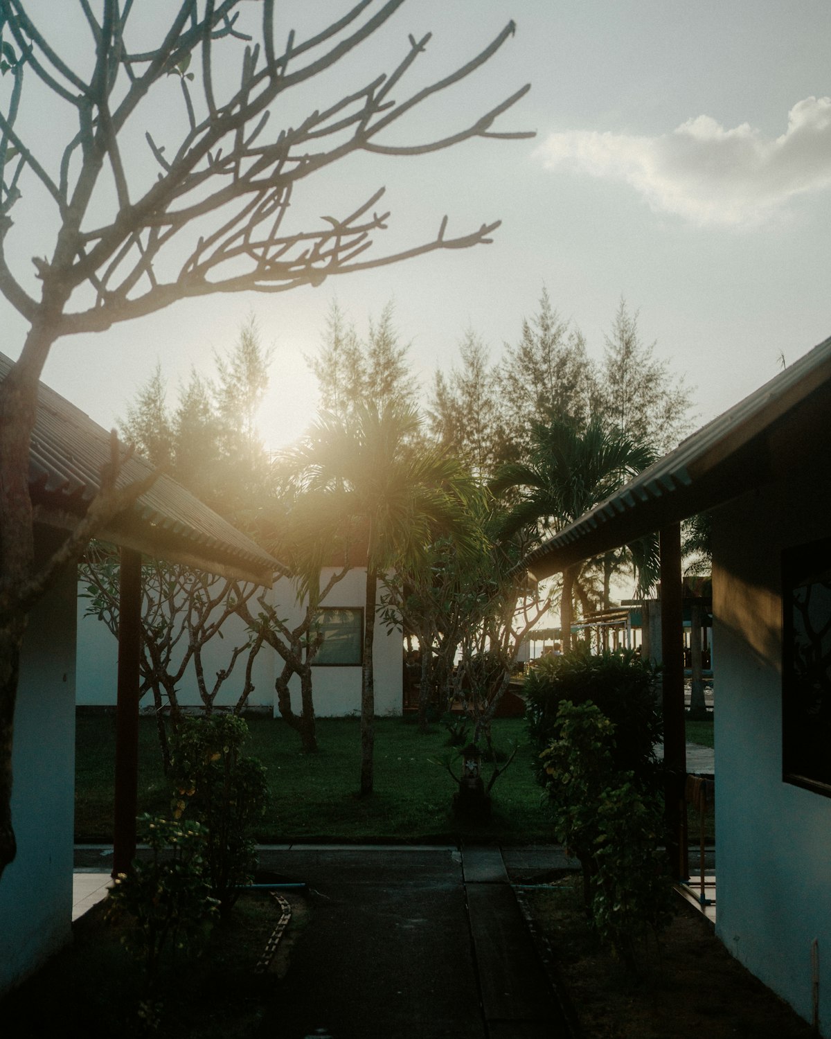 トロピカル建築 コンドミニアム外観 - あじさいリアルエステート